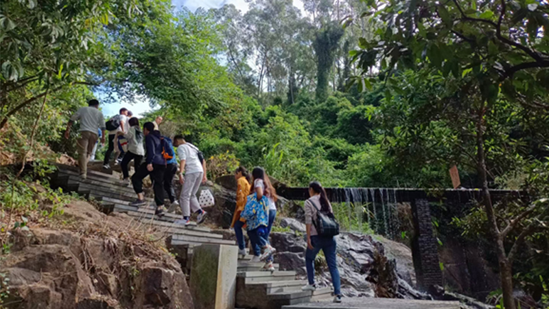 草莓视频污软件廠家