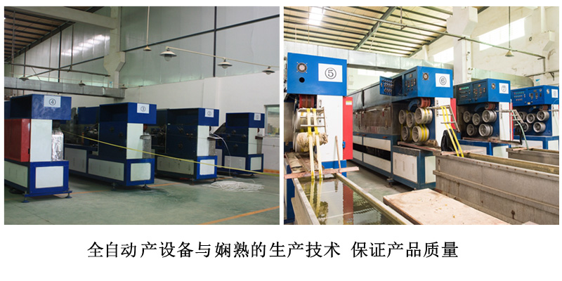 3000米全自動草莓视频在线免费下载生產車間